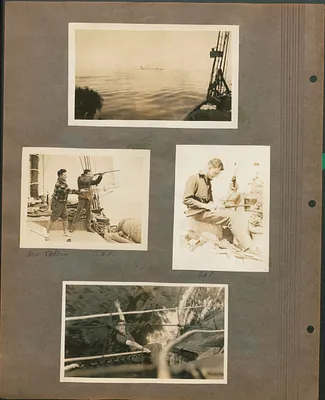 p. 18
