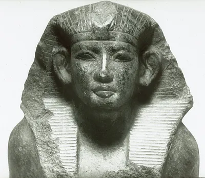 p. 7