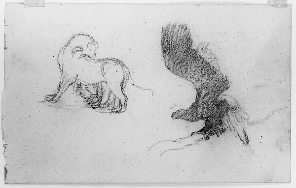 Drawing of a Big Cat and an Eagle