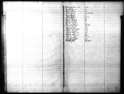 p. 7