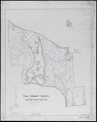 Tom Swamp South forest types 1930