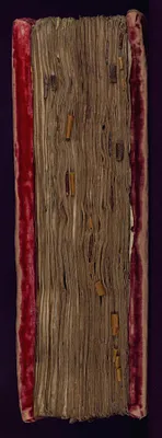 p. 6