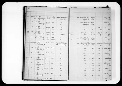 p. 24