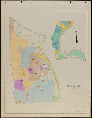 Tom Swamp VII 1937 stand map