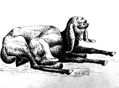 p. 3