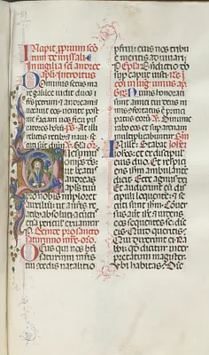 Missale: Fol. 259: Saint Andrew
