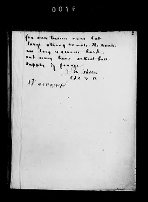 p. 38