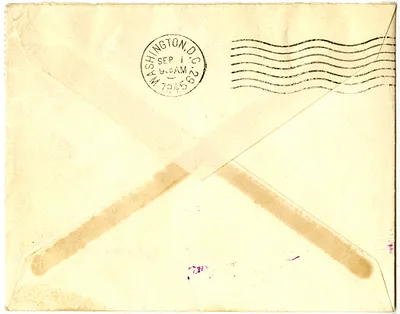 p. 7