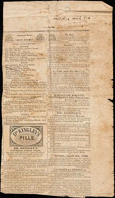 Newspaper clipping announcing Timoleon's arrival at New Orleans