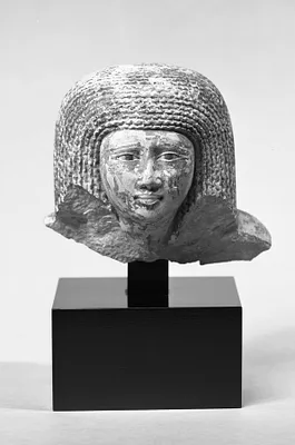 Male Head