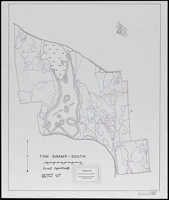 Tom Swamp South forest operations periods 2