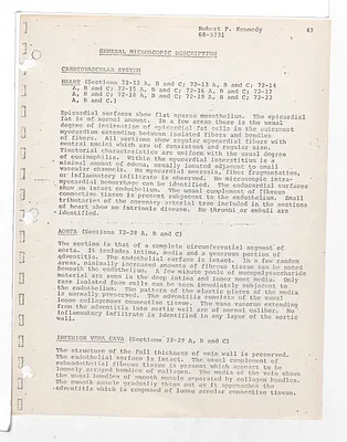p. 17