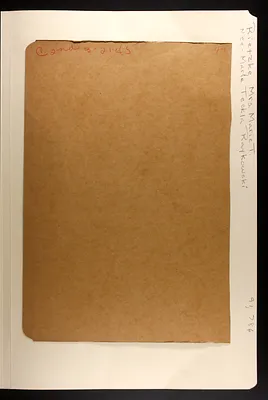 p. 3