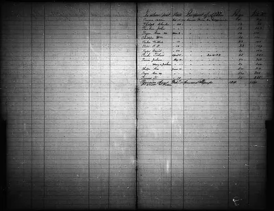 p. 19
