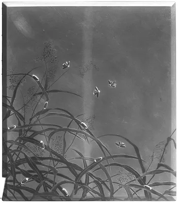 Box for Writing Implements (suzuri-bako) with Fireflies and Reeds