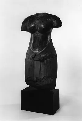 Female Torso