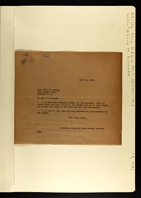 p. 29
