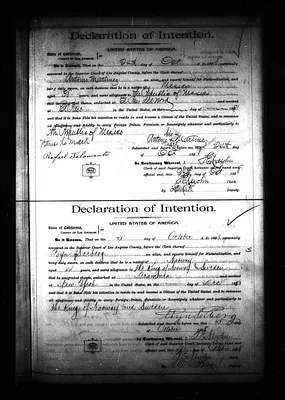 p. 29