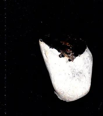 European flint