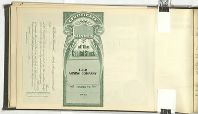 p. 31