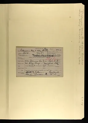 p. 8