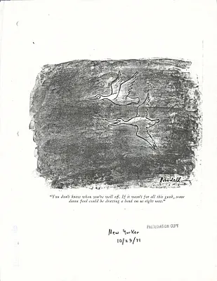 p. 29