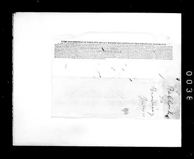 p. 49