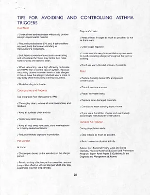 p. 28