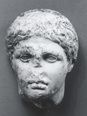 Head of a Youth