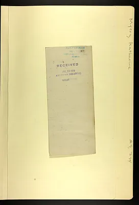 p. 11