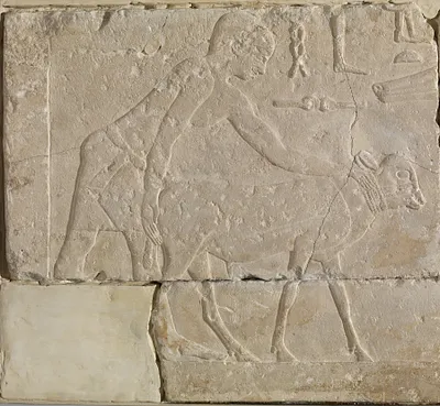 p. 2
