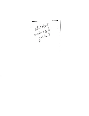 p. 30
