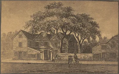 The Liberty Tree