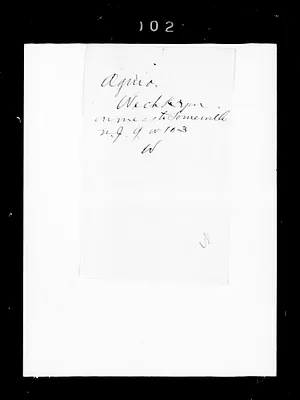 p. 31