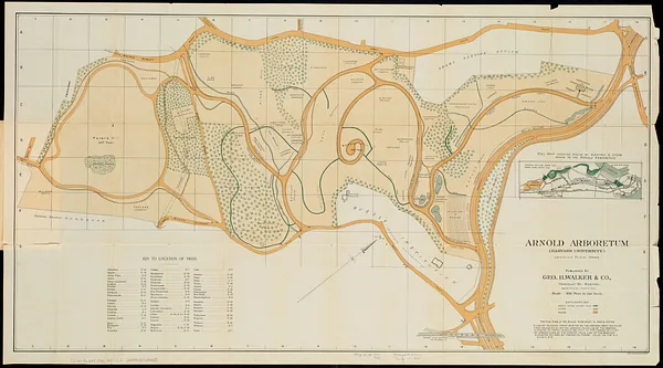 Map of Arnold Arboretum showing location of the trees and shrubs