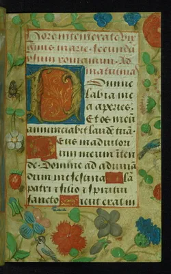 p. 8