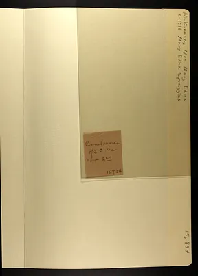 p. 33