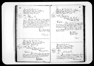 p. 41