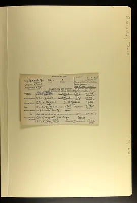 p. 13