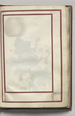 Border, folio 10 (recto), from Florilegium (A Book of Flower Studies)