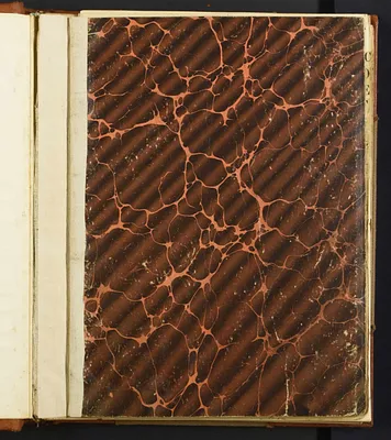 p. 5