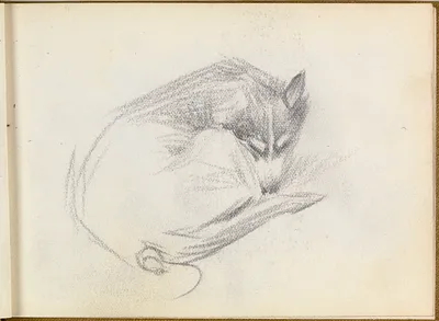p. 7