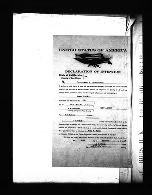 p. 33