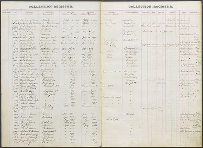 p. 4