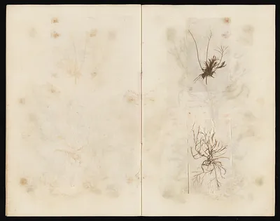 p. 33