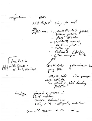p. 42