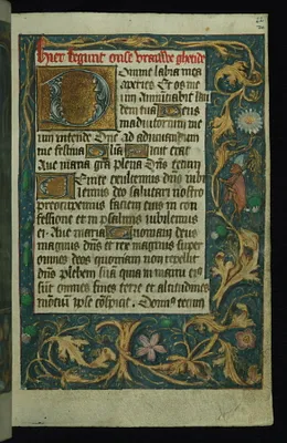 p. 8