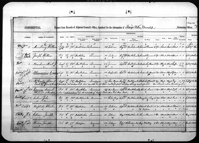 p. 15