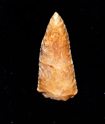 Indian arrowhead from Georgia and North & South Carolina