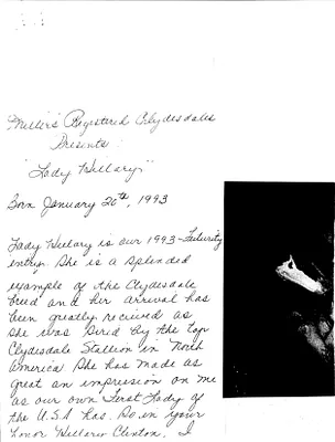 p. 53